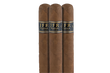 JFR Corojo